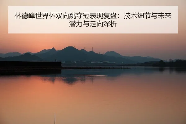 林德峰世界杯双向跳夺冠表现复盘：技术细节与未来潜力与走向深析
